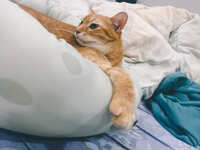 https://images.plurk.com/4xKDGBigiJmmbwGRAXETa1.jpg