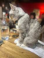 https://images.plurk.com/4xKOn7Zc681lOzza8lWxC1.jpg