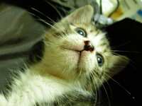 https://images.plurk.com/4xVHjr9Oczh43ajPPqvNbd.jpg