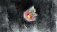 https://images.plurk.com/4xWvsxowdUyuaduBp5vGQ4.jpg