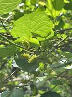 https://images.plurk.com/4xdxdleILbI2Jc7hDrlPJP.jpg