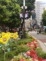https://images.plurk.com/4xg7zts9sfhYOE4VSYIjGd.jpg