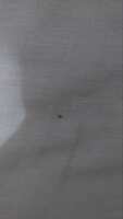 https://images.plurk.com/4xk7Qv8hssK1WtLW10r7ou.jpg