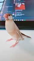 https://images.plurk.com/4xvWtAJ6vag2g4EZYNmAb8.jpg