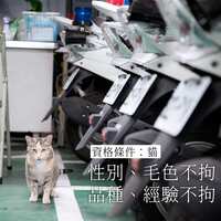 https://images.plurk.com/4xvzR4ZMx95g20kgP83xct.jpg