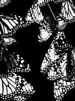 https://images.plurk.com/4xzIHsPixuVOFwauB6qBMD.jpg