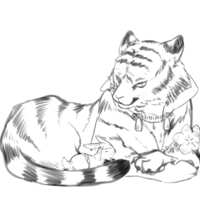 https://images.plurk.com/4y5FaAxoQ5XuOJj9PlDzdM.png