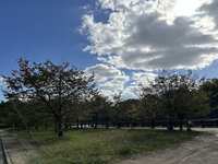 https://images.plurk.com/4y6ICNLhuljVc8iLJZNczd.png