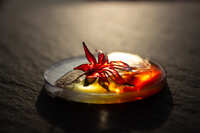 https://images.plurk.com/4y8jGvZTlzLDM8UQYqGnMN.jpg