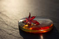 https://images.plurk.com/4yIWEfzorvc1sWlbA0iQGz.jpg