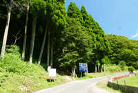 https://images.plurk.com/4yMwuANsS4PkLxh0XQbH86.jpg