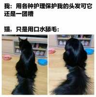 https://images.plurk.com/4yObK4yjh7K1zKpM1Zp7hc.jpg