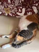 https://images.plurk.com/4yQTrNwse7YAq6KJ4kxvbt.jpg