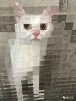 https://images.plurk.com/4ycHzcRWDKlbJWCWYh4TkV.jpg