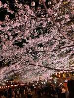 https://images.plurk.com/4ymSJFPvQ1Wl8lXFTjdRZN.jpg