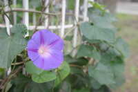 https://images.plurk.com/4ymZjzxjmtCN4BFWz09aeb.jpg