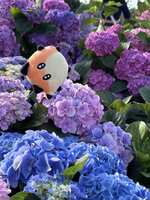 https://images.plurk.com/4yrWtCE0lDc2lgHxgKNBMm.jpg