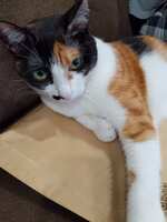 https://images.plurk.com/4yswYOrM5caf3Z42Lsceds.jpg