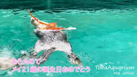 https://images.plurk.com/4yu9eAh5dzBqiIr5iqLn4b.jpg