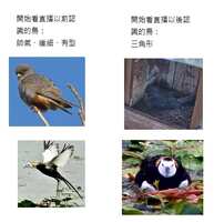 https://images.plurk.com/4zD3c1SIVr809pmBfcYaXH.jpg