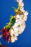 https://images.plurk.com/4zMRM1EfwMVDYy2coLmrDF.jpg