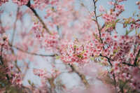 https://images.plurk.com/4zVVZwYjfF3Fn0Ch4vhsSf.jpg