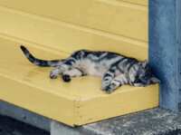 https://images.plurk.com/4zVzYIghgMQsqPeMmwRMml.gif