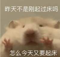 https://images.plurk.com/4zeHMFQMdNHfgx2oiZQq3H.gif