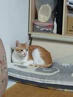 https://images.plurk.com/4zhHVK8mVPNPc8OnKhOiDd.jpg