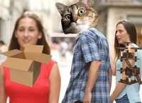 https://images.plurk.com/4zhuBApgOB7VHsjsBHyeGK.jpg