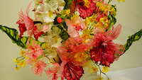 https://images.plurk.com/4zlLgBmcRM4JZWGQDiV9PO.jpg