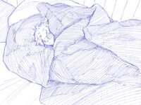 https://images.plurk.com/4znWGq2wQ1ZCRuapxGZEkX.png