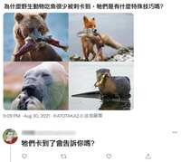 https://images.plurk.com/4zrnmDTVPKETJOhih3O08t.jpg