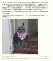 https://images.plurk.com/4ztCFCzF6kBuj2XD7JBOQJ.png