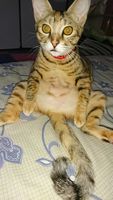 https://images.plurk.com/506ChI3Z7i5uRDbVDZgMYS.jpg