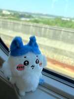 https://images.plurk.com/506HN4U9QCNv4RBRpGPrJ7.jpg