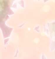 https://images.plurk.com/50AiJ2OIKnPb1amMIzG4JE.jpg
