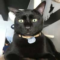 https://images.plurk.com/50BjwxctizgUxb1fdGwX6U.jpg