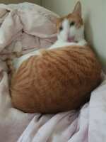 https://images.plurk.com/50KglD9kwqIKRXWDQgWN28.jpg