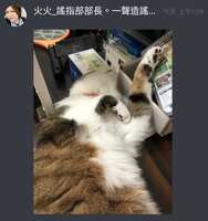 https://images.plurk.com/50UJQ6XfVstIX5T4hTFHTP.jpg