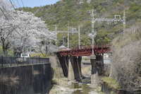 https://images.plurk.com/50UUCN24LY9MKoYdlBpUGa.jpg