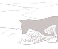 https://images.plurk.com/50WDh81yjhfold6VSLNReJ.jpg