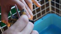 https://images.plurk.com/50WSoUeIoqrIkUAj9ncbx1.jpg