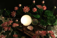 https://images.plurk.com/50aXQcTZuISKanw362UNJH.jpg