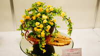 https://images.plurk.com/50hOqa1FpuUJSpynZiNOD1.jpg