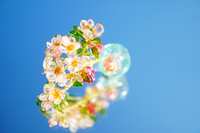 https://images.plurk.com/50jpqLYPME21R2pRFqjbbh.jpg