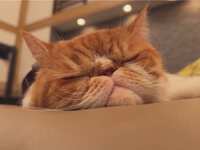 https://images.plurk.com/50kMabzrMhmDbgOstiJA71.jpg