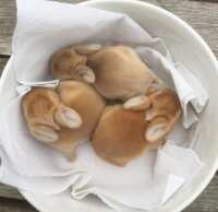 https://images.plurk.com/50n2MgEk2fyOcZl4b6JwGN.png