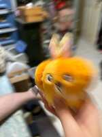 https://images.plurk.com/50tk7SFdGJtsNJXl9KyeOM.jpg