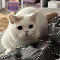 https://images.plurk.com/50wcX7Tqfo12Gy21rPC8Tu.jpg